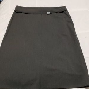 Skirt...The Limited Stretch